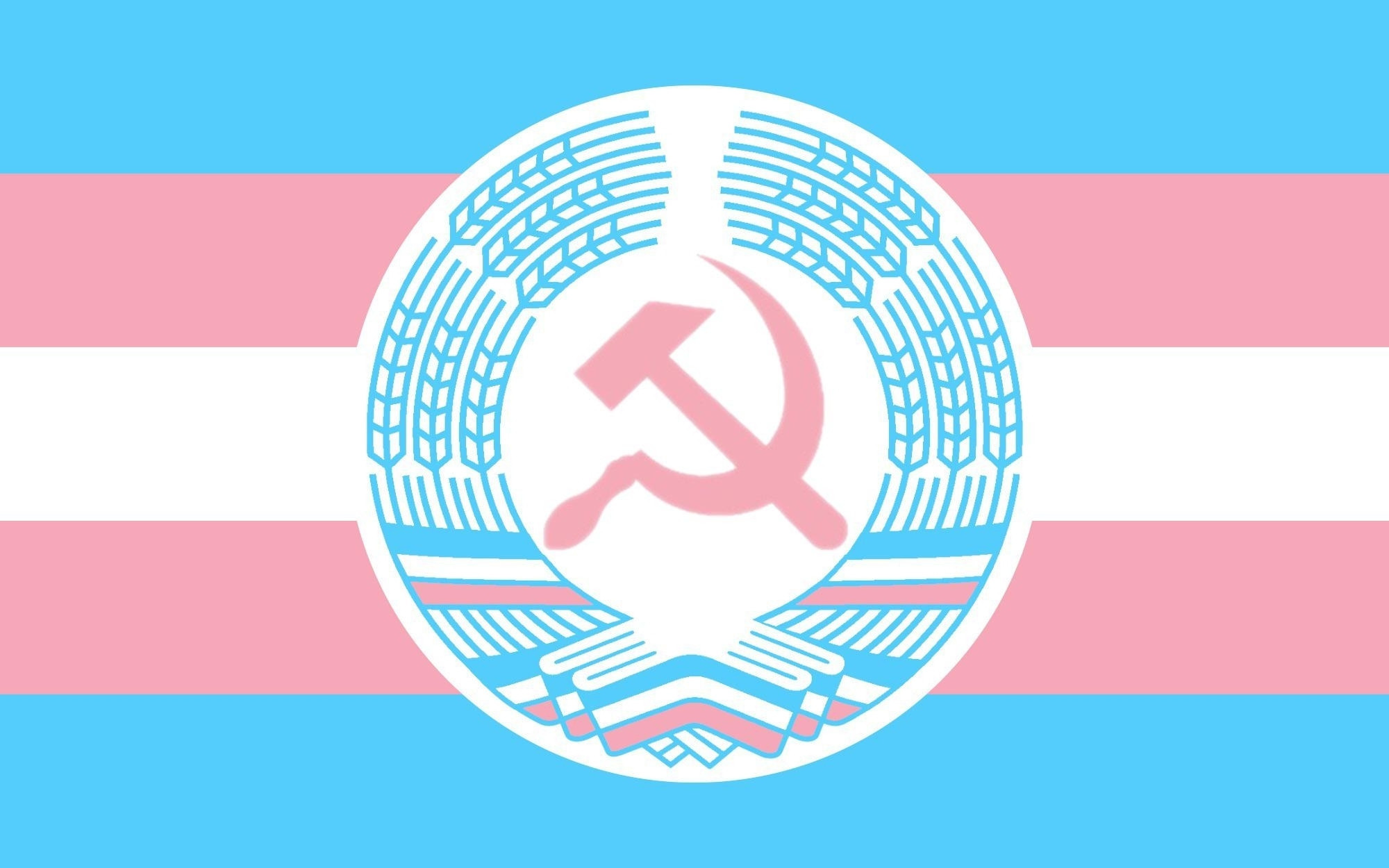 Picture of a trans flag with a communist emblem in the middle that is also colored in trans colors