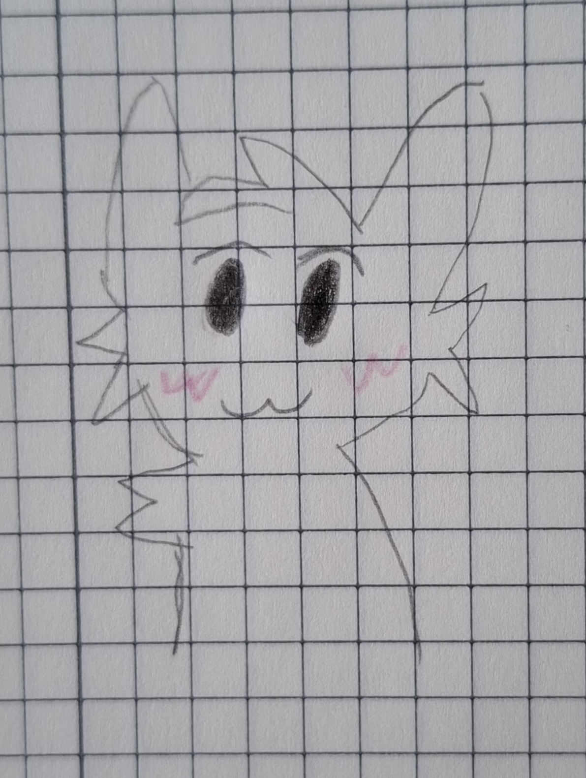 A drawing of a cat like animal called boykisser, only head though.